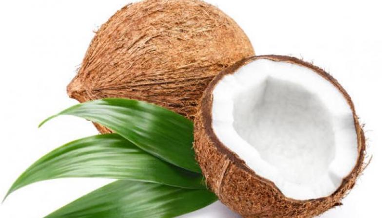 Coconut Coconut