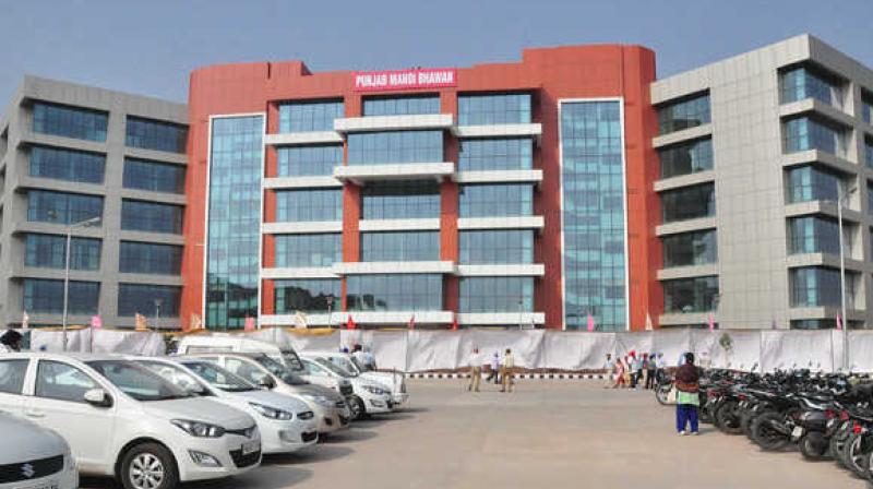 Punjab Mandi Board becomes defaulter Punjab Mandi Board becomes defaulter