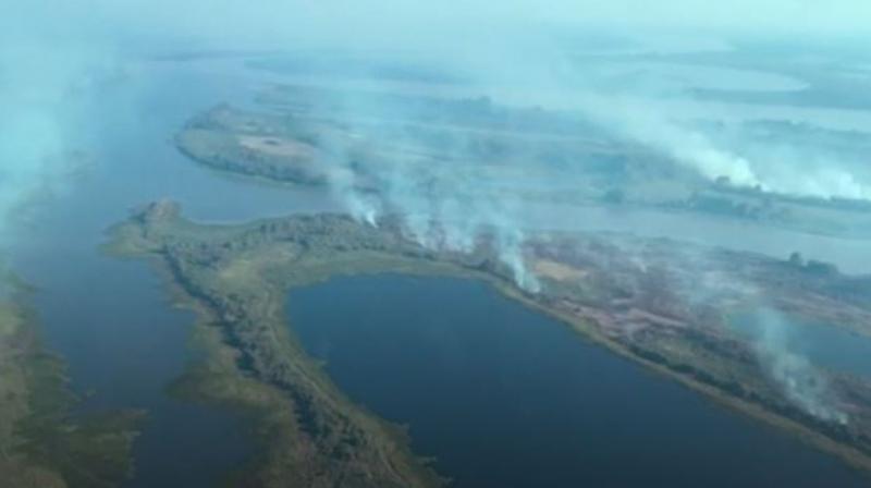 Fires in Brazil's Amazon