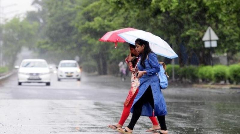 Rain Rain