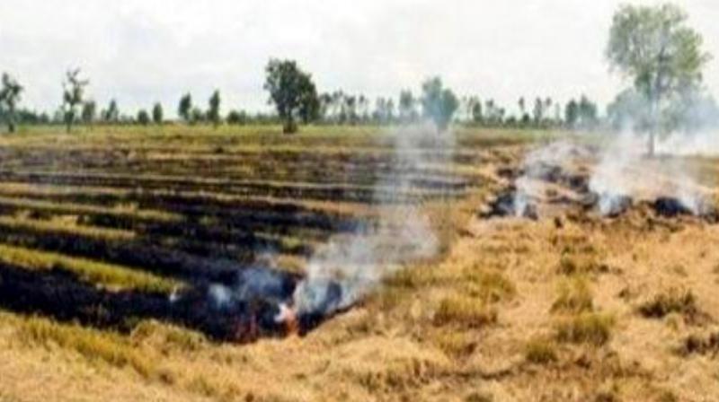 CRM machines will be given to farmers on subsidy CRM machines will be given to farmers on subsidy