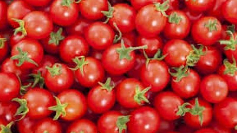 Tomato is being sold for 28 thousand rupees per kg Tomato is being sold for 28 thousand rupees per kg