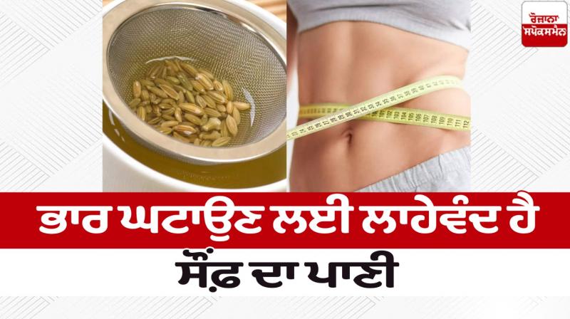 Fennel water is beneficial for weight loss