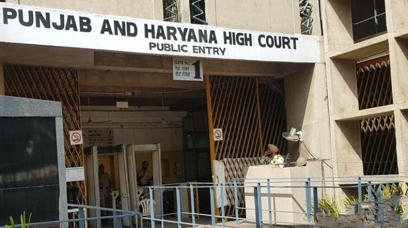 Punjab & Haryana High Court Punjab & Haryana High Court