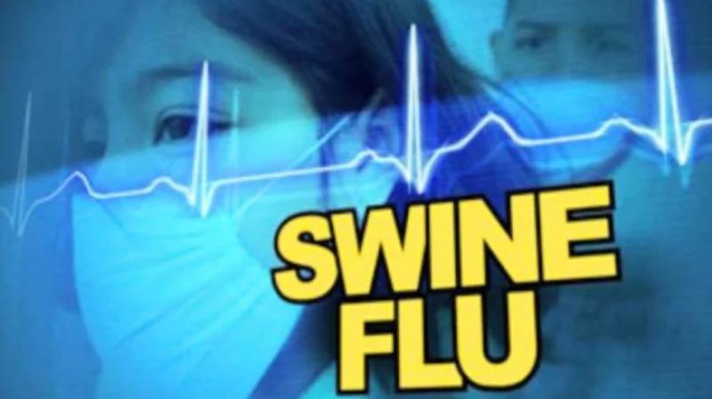 Swine Flu Swine Flu