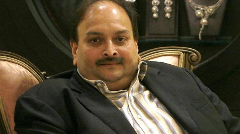 Mehul choksi Mehul choksi