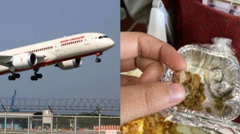 Now a stone was found in the food of Air India: the female passenger shared the picture on social media Now a stone was found in the food of Air India: the female passenger shared the picture on social media