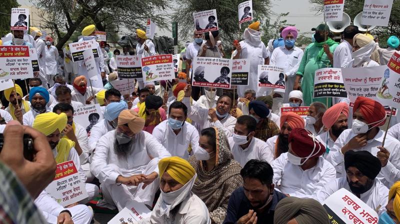 AAP gheraoes Lambi police station demanding arrest of culprits in spurious liquor factory busted AAP gheraoes Lambi police station demanding arrest of culprits in spurious liquor factory busted