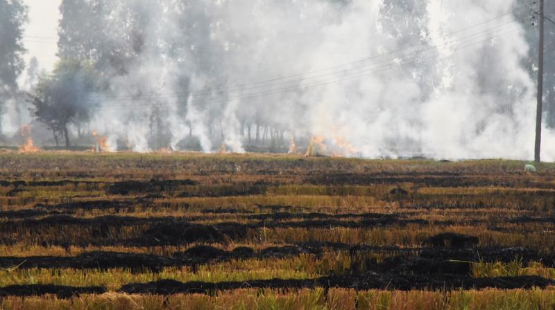 Stubble burning Stubble burning