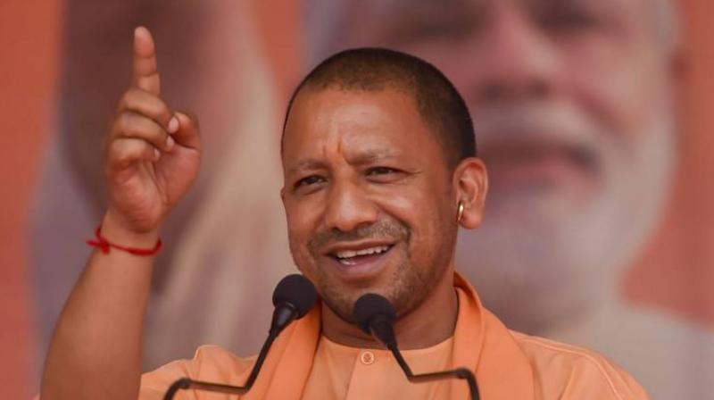 Yogi Yogi