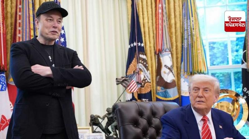Trump vs Musk