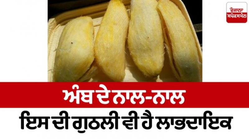 Health News Health News