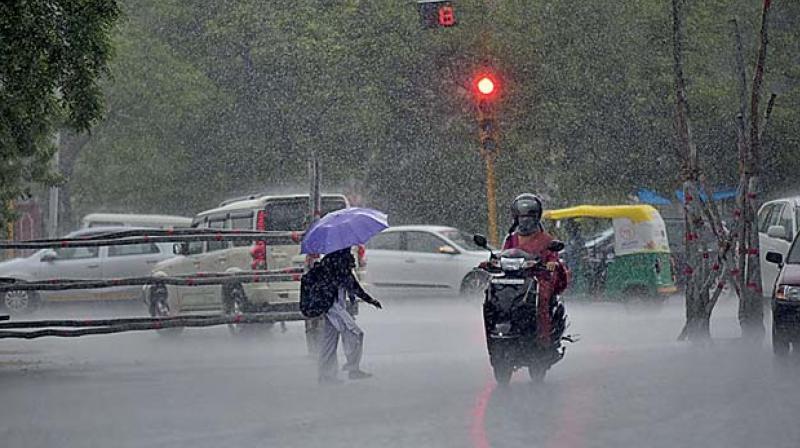 Rain Rain