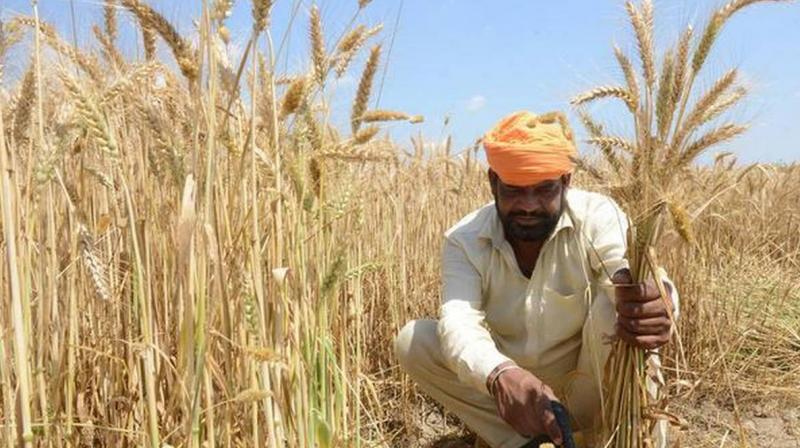 Kisan samman nidhi scheme government