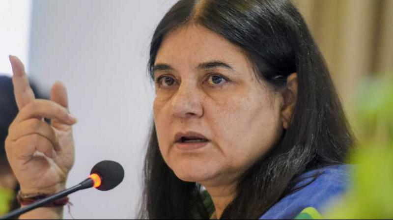 Maneka Gandhi