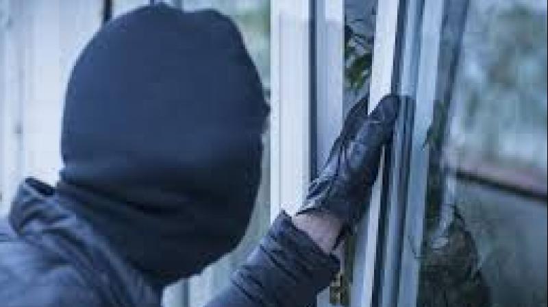  5 homes theft in firozpur