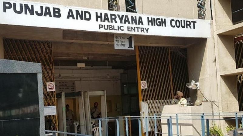 High Court sought reply from DGP Punjab in Case of Prohibition of Exhibition of Arms High Court sought reply from DGP Punjab in Case of Prohibition of Exhibition of Arms