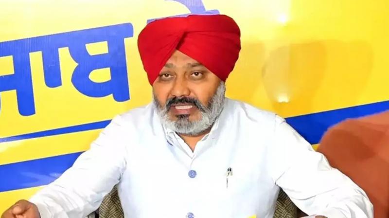 Harpal Cheema Harpal Cheema