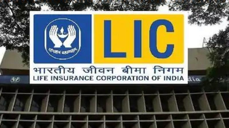 Lic aam aadmi bima buy this policy with just 100 rupees yearly Lic aam aadmi bima buy this policy with just 100 rupees yearly