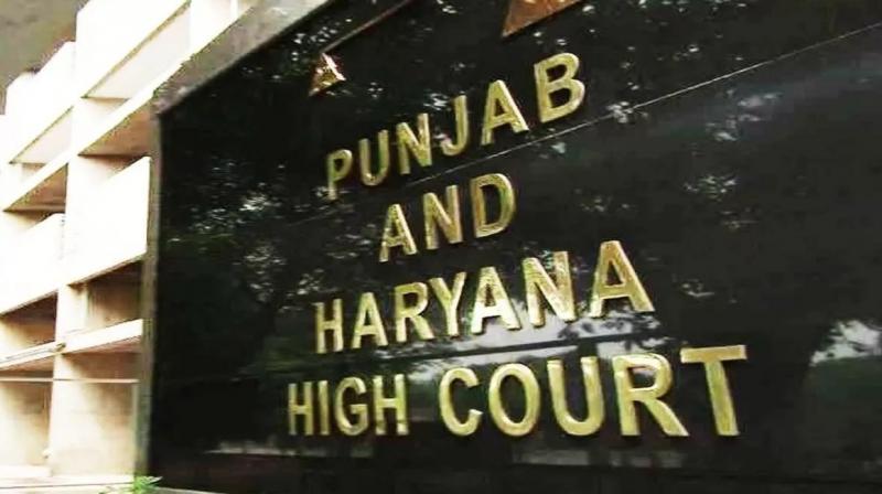 punjab haryana high court punjab haryana high court