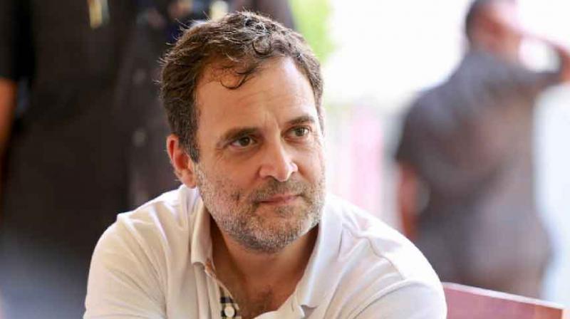 Congress likely to get 150 seats in Madhya Pradesh assembly elections: Rahul Gandhi