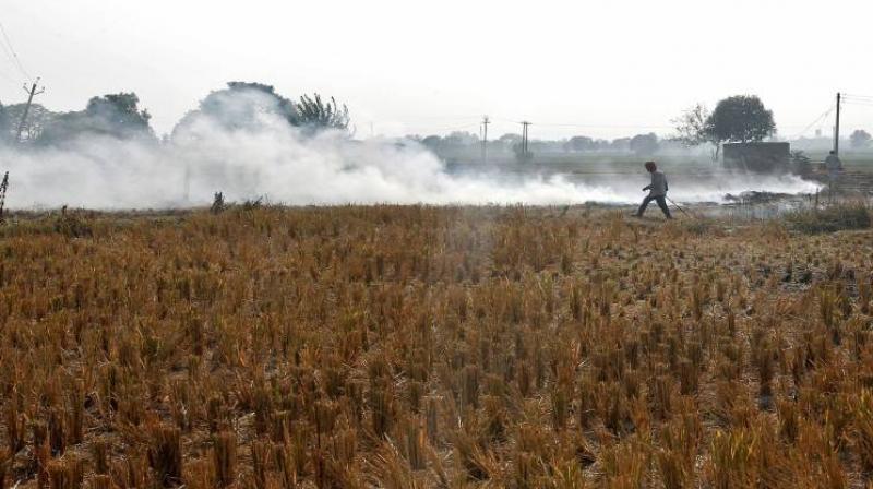 Stubble Burning Stubble Burning