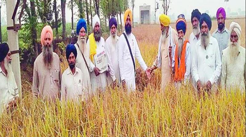 Farmers challan moga Farmers challan moga