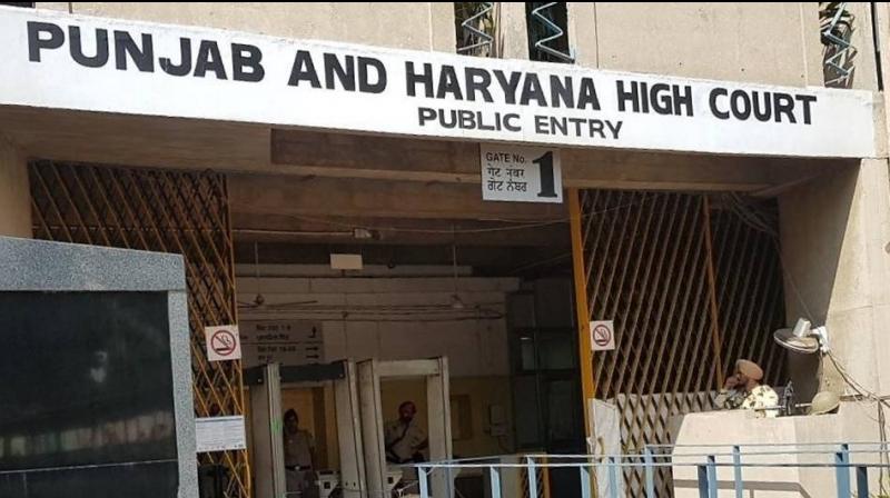 punjab haryana High Court 