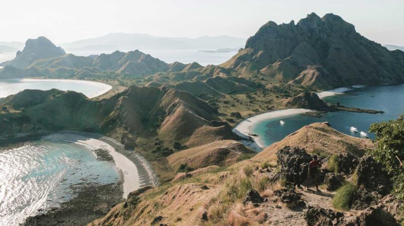 Indonesias komodo island to shut down for tourists Indonesias komodo island to shut down for tourists