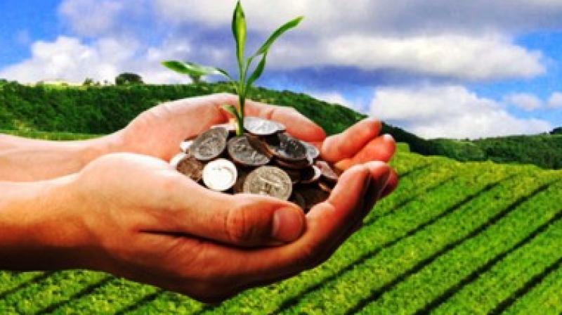 Two more agricultural welfare centers to be built Two more agricultural welfare centers to be built