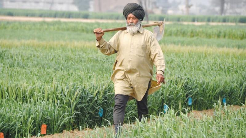 Pradhanmantri fasal beema yojna gift to farmers from government