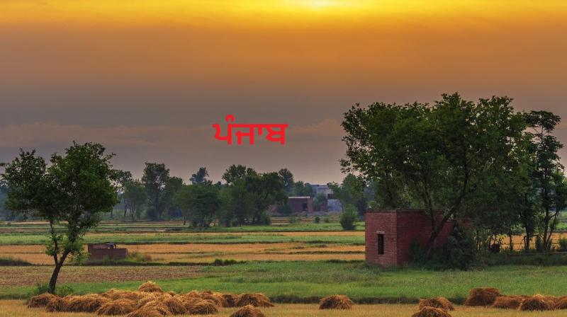 Punjab Punjab