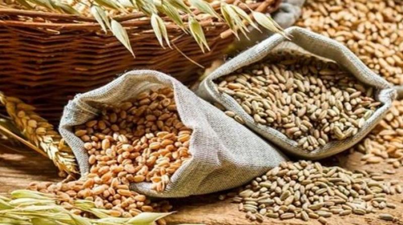 Centre issues order on wheat stock declaration