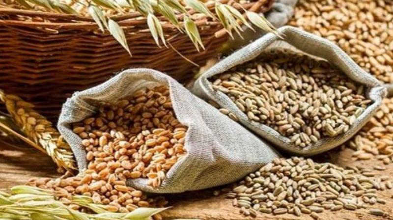 Centre issues order on wheat stock declaration Centre issues order on wheat stock declaration