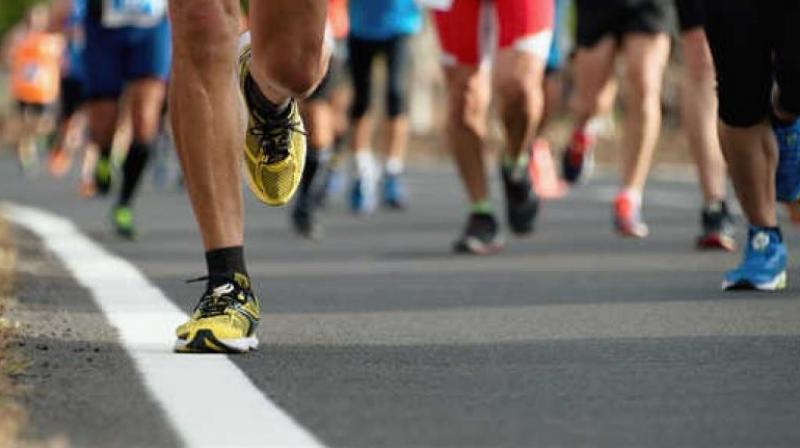Auckland Marathon Auckland Marathon