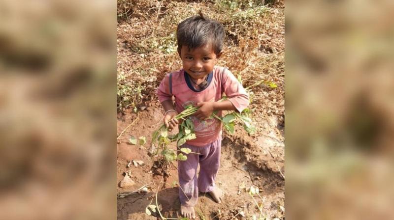 3-year-old boy falls into 200-feet deep borewell 3-year-old boy falls into 200-feet deep borewell