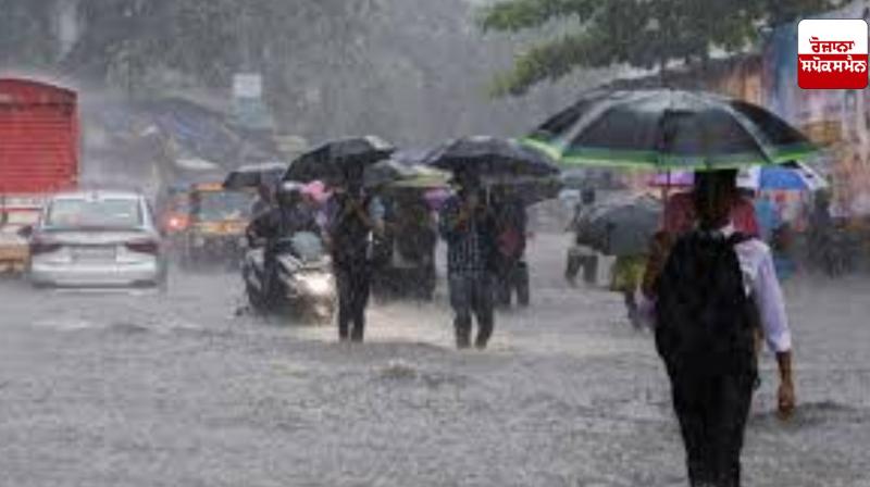 Rain likely in 8 districts of Haryana, crops on 29 lakh acres in 6 thousand villages damaged Rain likely in 8 districts of Haryana, crops on 29 lakh acres in 6 thousand villages damaged