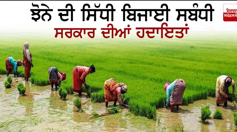 Paddy Paddy