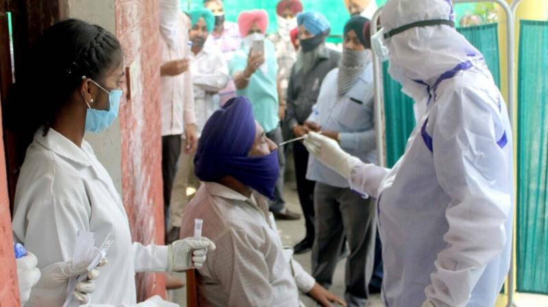 Covid Cases in Punjab Covid Cases in Punjab
