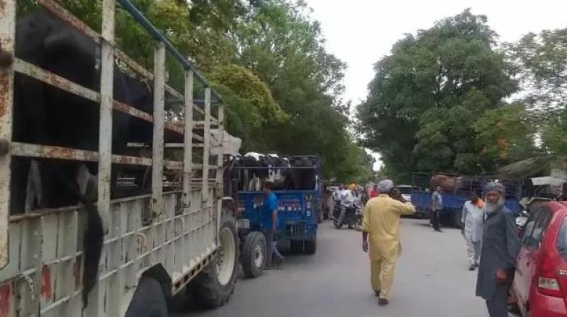 Khana news Khana news