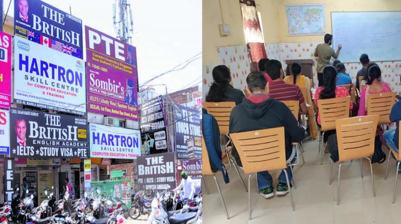 50% drop in students in IELTS centers of Majha, Malwa and Doaba 50% drop in students in IELTS centers of Majha, Malwa and Doaba