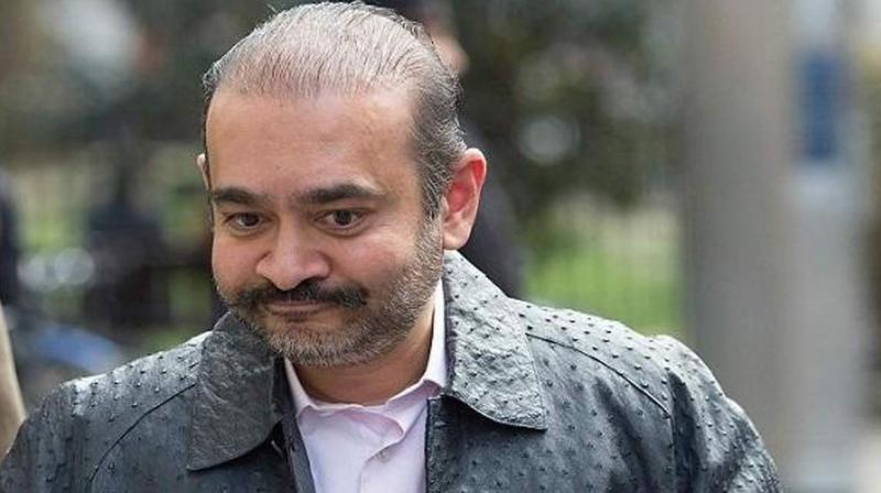 Nirav Modi