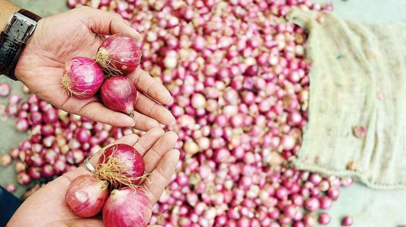 Onion Price Hike Onion Price Hike