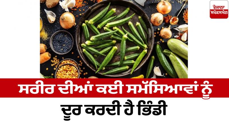 Okra removes many problems of the body Heath News