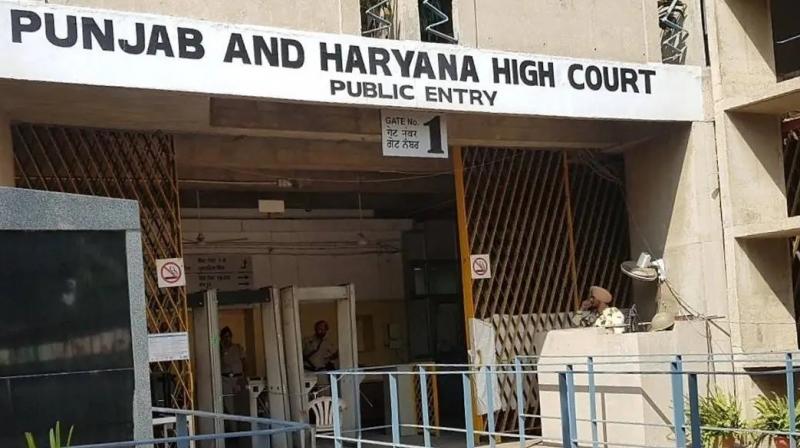Punjab Haryana High Court Chandigarh News Punjab Haryana High Court Chandigarh News