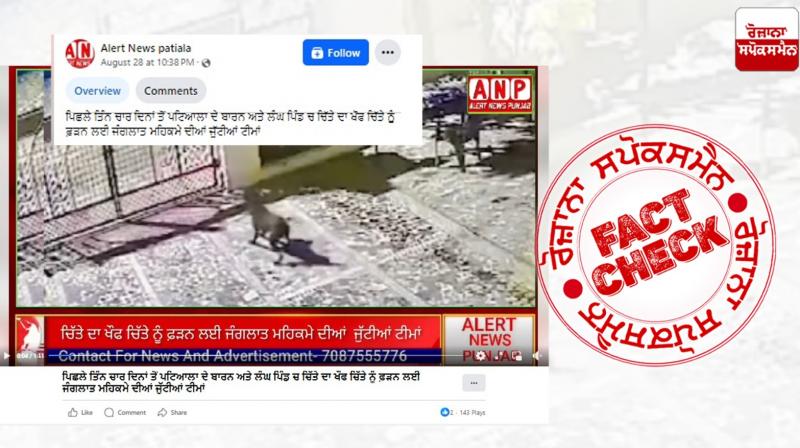 Viral Video Of Leopard Attacking Dog Is From Rajasthan Not Punjab Viral Video Of Leopard Attacking Dog Is From Rajasthan Not Punjab