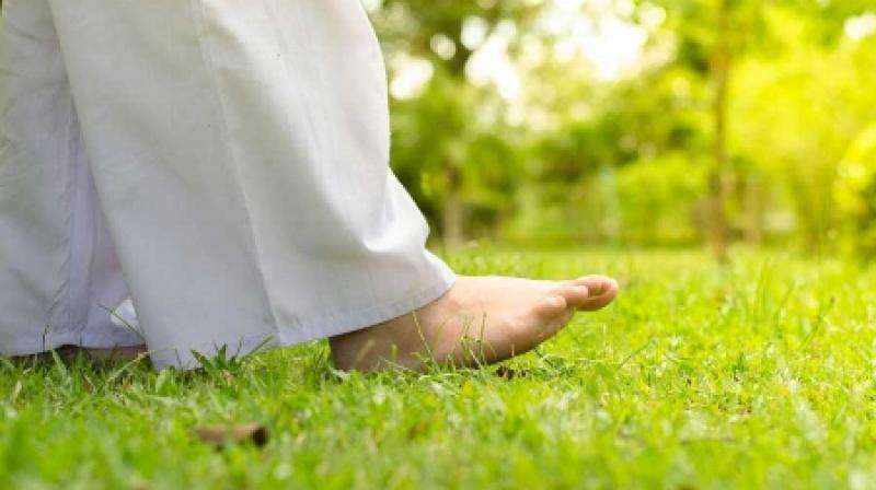 Walk Barefoot Walk Barefoot