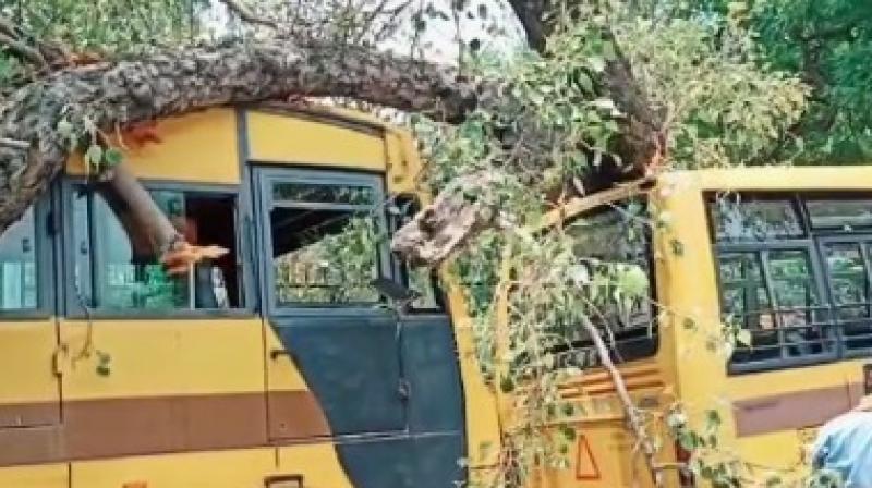 A tree fell at a school in Sector 9, Chandigarh, killing one child and injuring another A tree fell at a school in Sector 9, Chandigarh, killing one child and injuring another