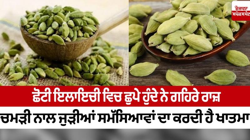 small cardamom small cardamom