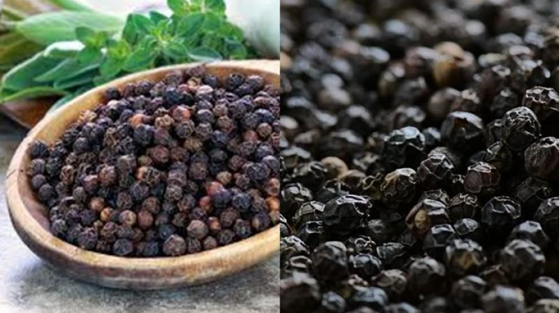 Black currant Black currant